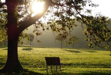 landscape, park, mood-4337228.jpg